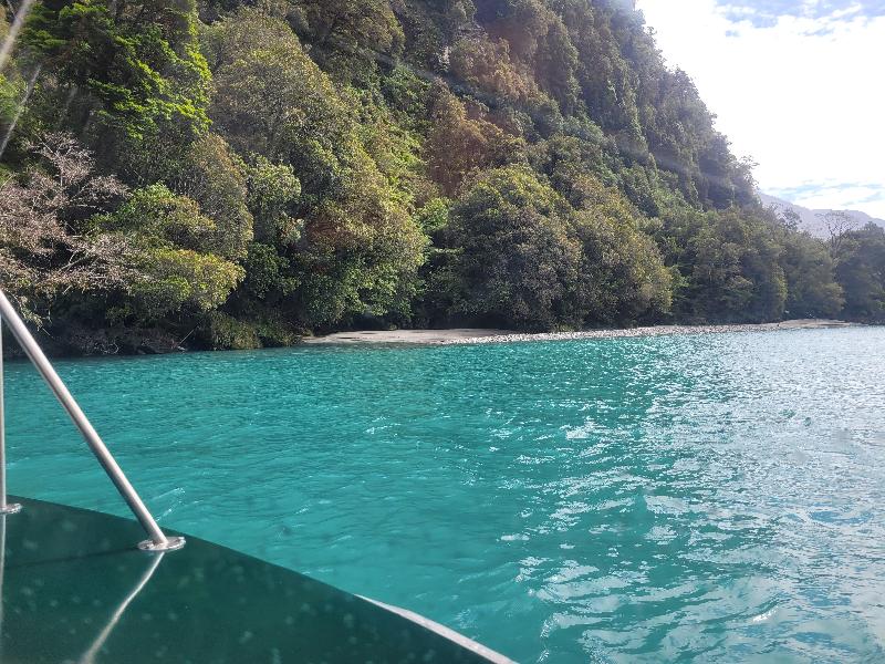 Trip highlighted what a beautiful country NZ is.