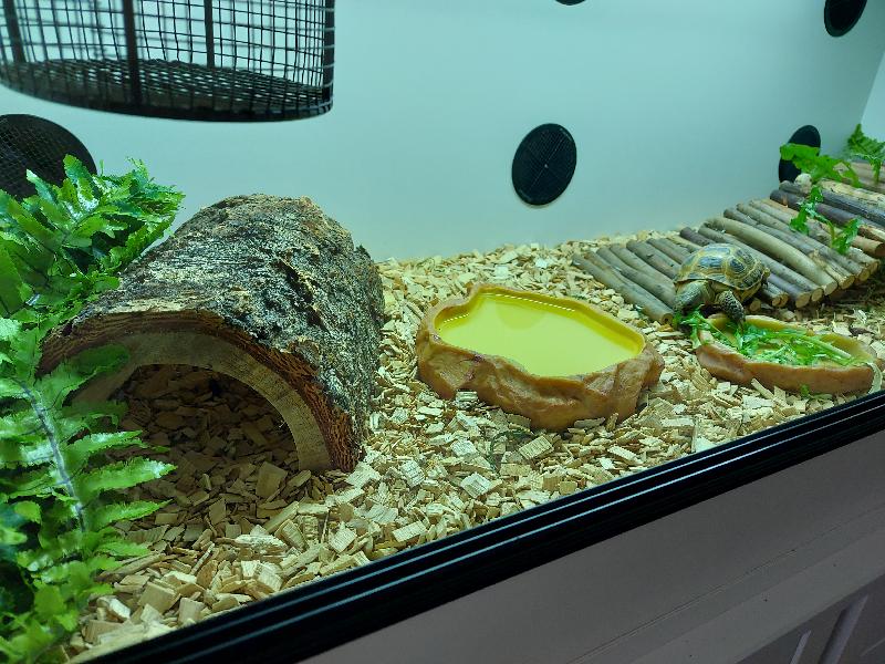 Sturdy good quality log tunnel.