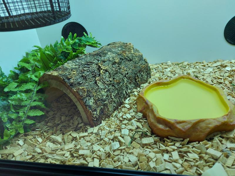 Sturdy good quality log tunnel.
