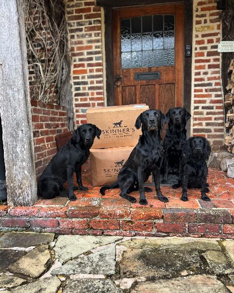 My dogs all love Skinner's - they are so fit and healthy