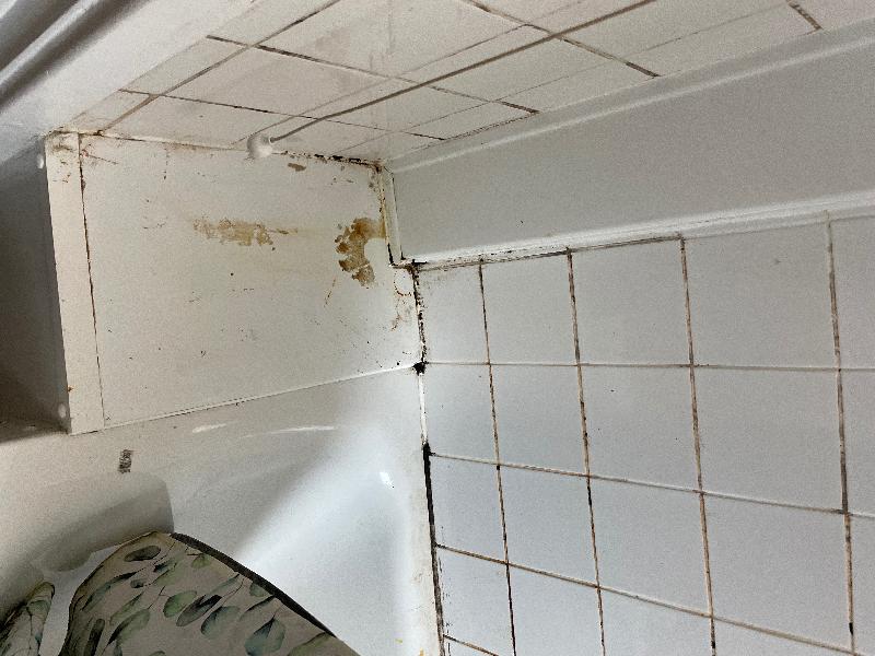 Cleaned bath however mould is in silicone and behind bath cust needsreplace