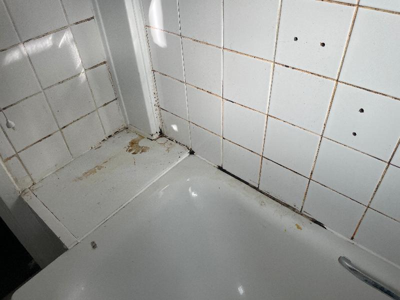 Cleaned bath however mould is in silicone and behind bath cust needsreplace