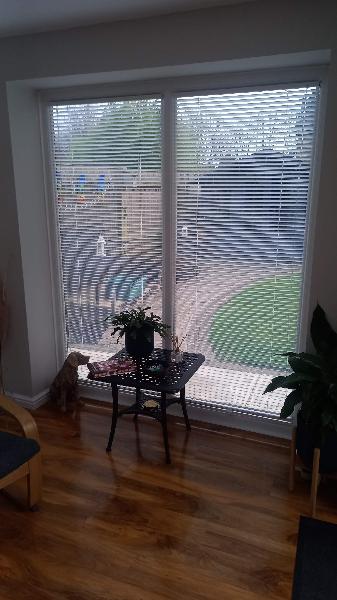 Great blinds, great service.