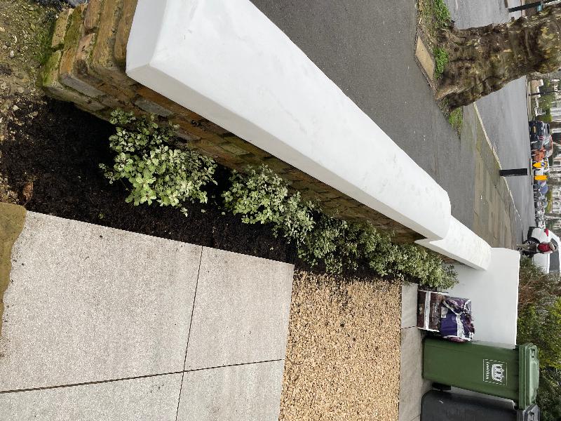 Excellent service. The pittosporum plants arrived in perfect condition.