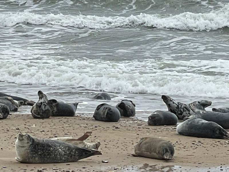 Waxham sands short break