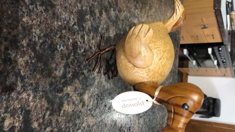 Donald the dodo 🦤