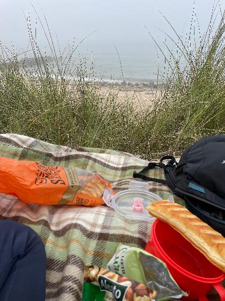 Great beech site with magical wildlife !!