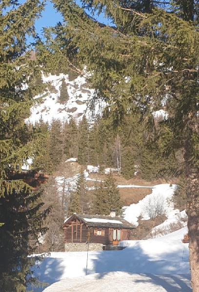 Really comfy and quirky chalet