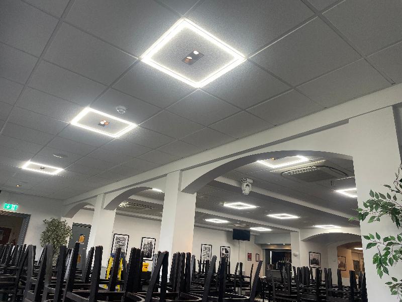 These are absolutely amazing lights