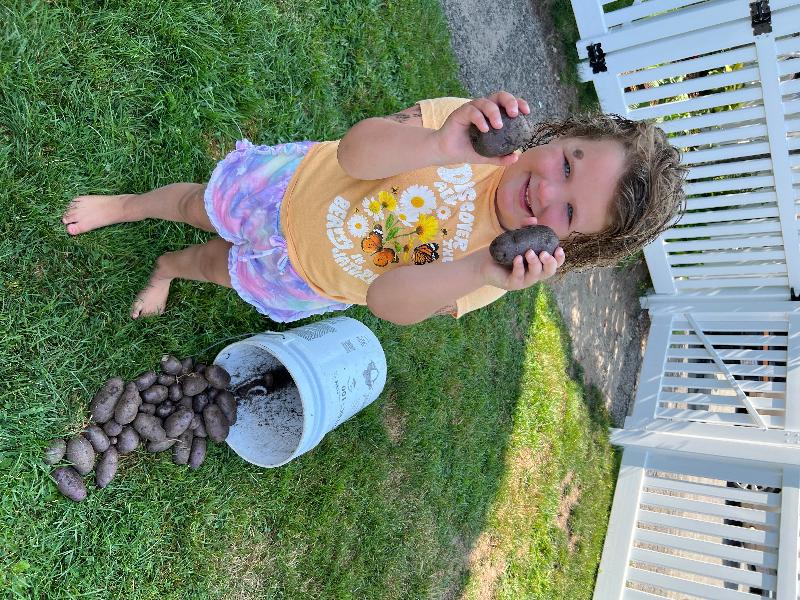 The best organic seed potatoes.