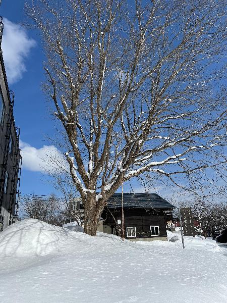 Lovely stay at Niseko Lodge