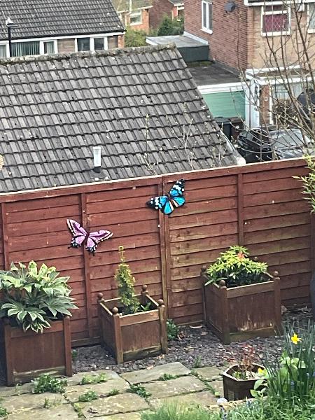 Good selection for home & garden