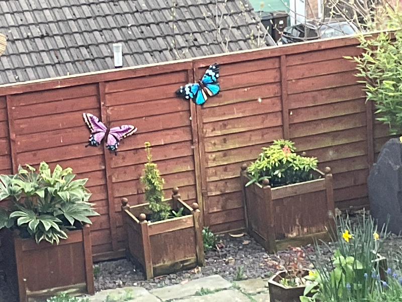 Good selection for home & garden