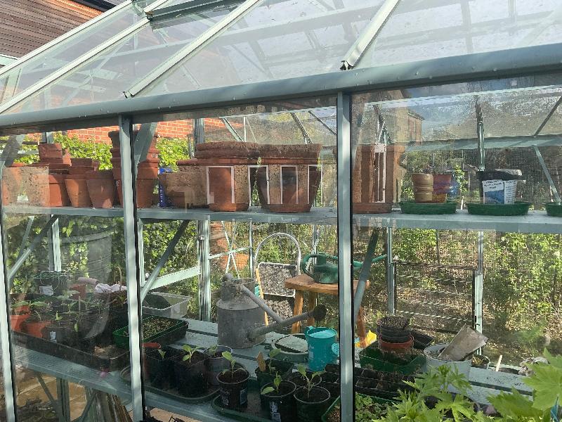 My perfect greenhouse come true
