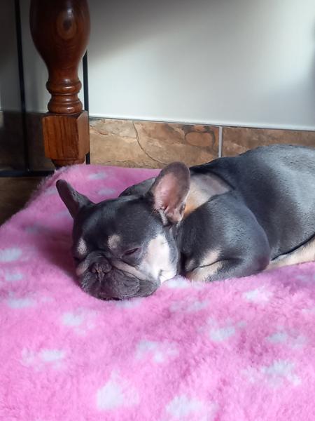 Excellent customer service and beautiful soft bedding