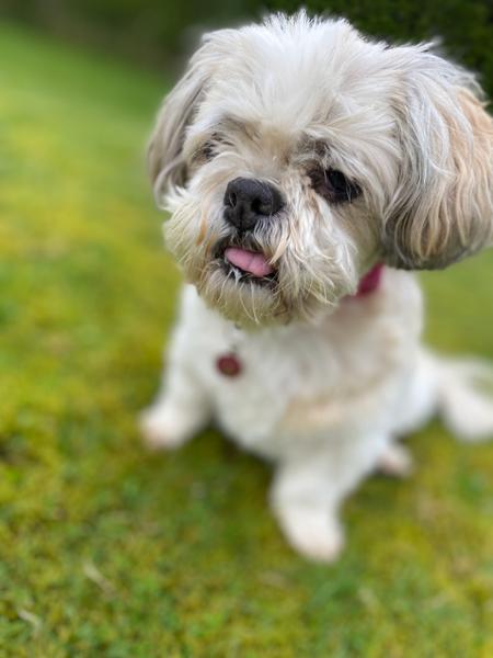 Great food & treats for your pets & excellent service