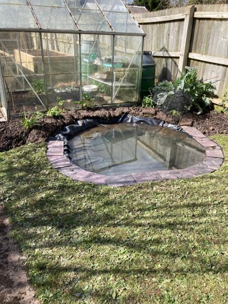 Pond liner