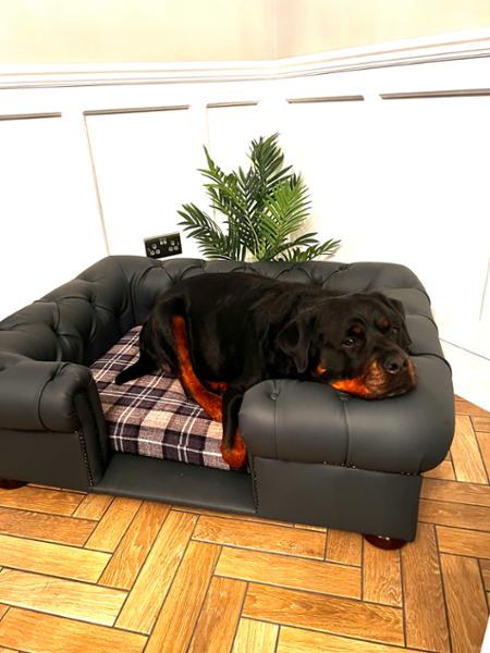 Scott’s Dog Beds