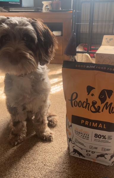 best dog food ever