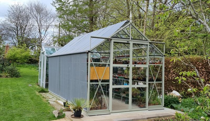 Rhino sage dream greenhouse