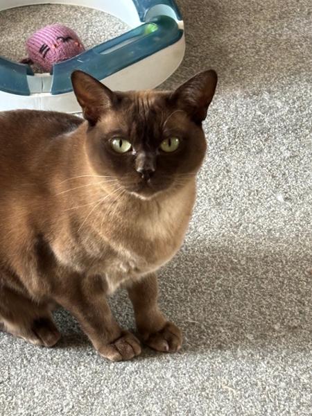 Easy to place order