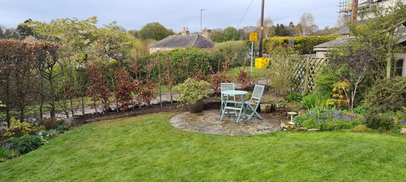 Beech Hedging. Well done Hopes Grove Nurseriesy