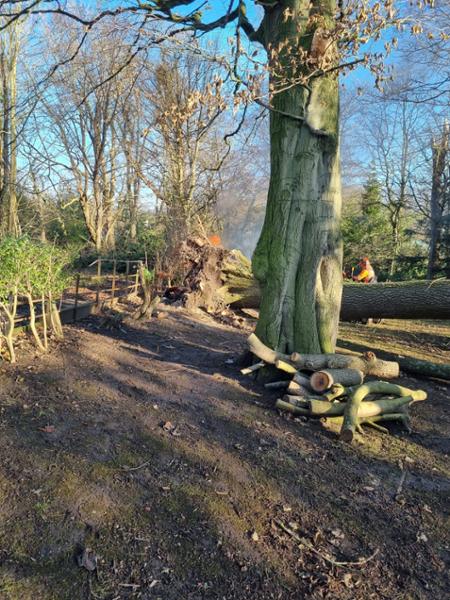 Native hedging