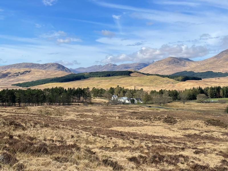 West Highland Way: glorious!