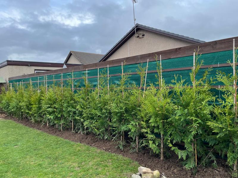 Good service and healthy trees