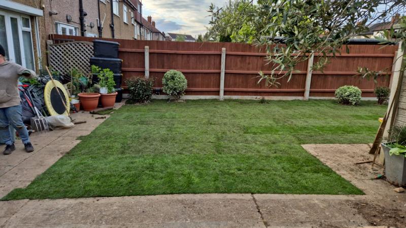 Great quality turf
