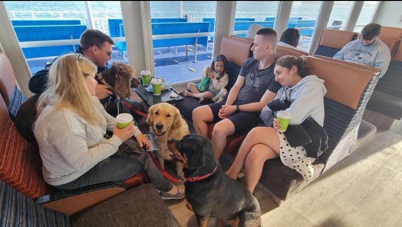 Great service. Dog friendly. Flexible.