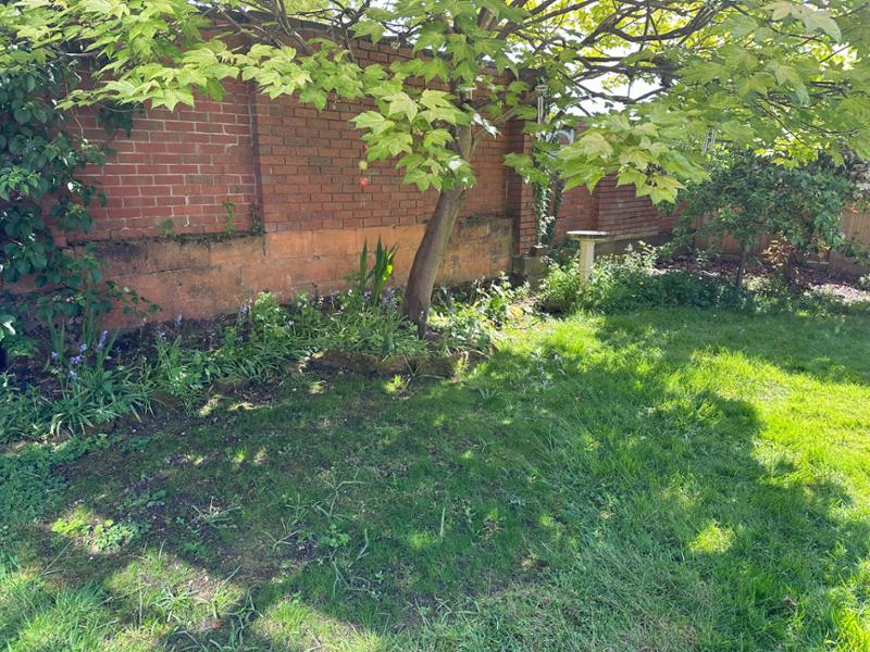 Grass Seed for Shaded Area