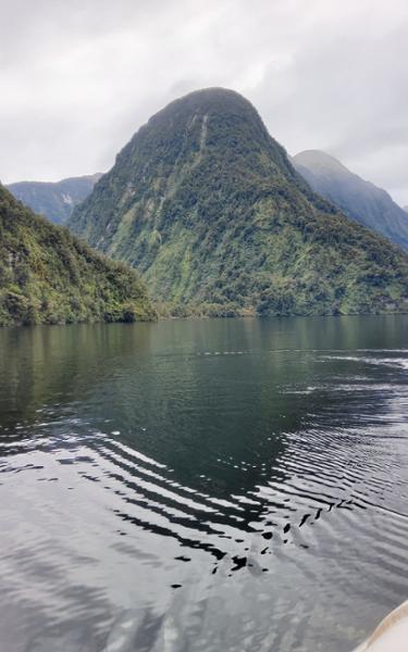 Doubtful Sound Wilderness Day Cruise from Manapouri - Doubtful Sound