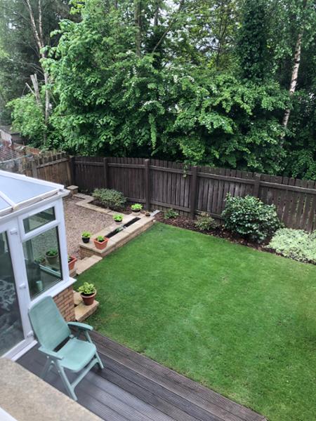 Green grass courtesy of Green care