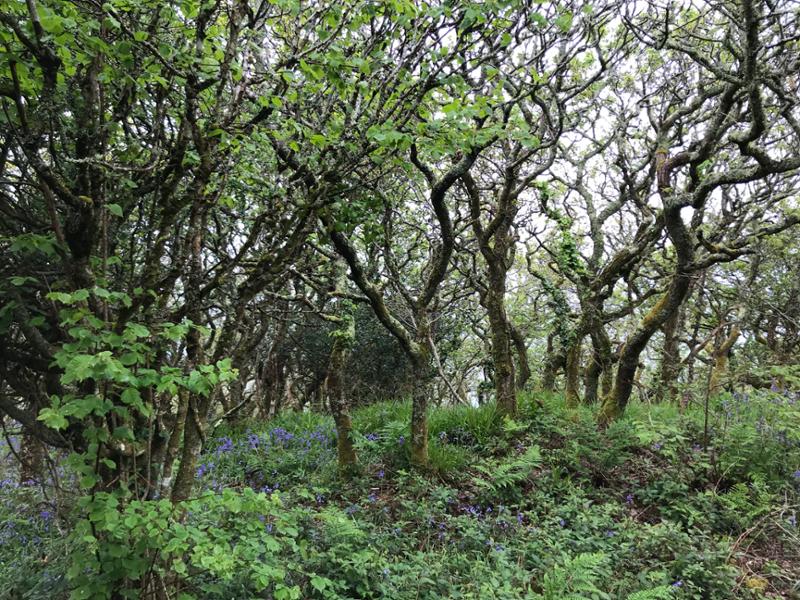 Wonderful week along the SWCP