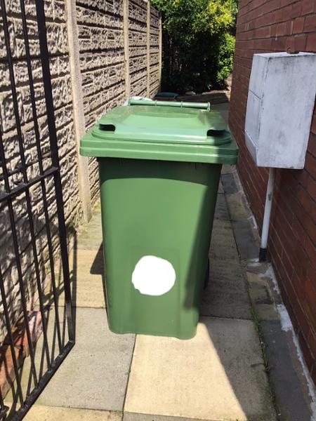 Perfect for Depositing Garden Foliage