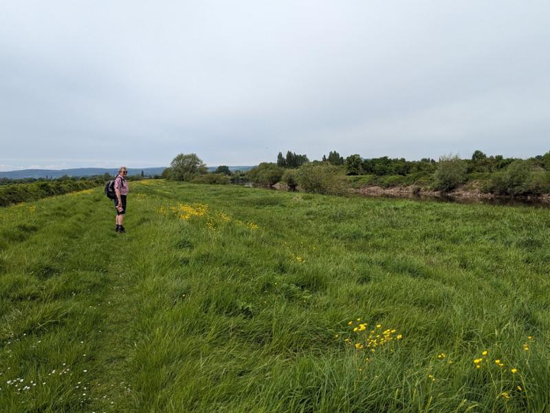 Walking the gentler half of the Severn Way