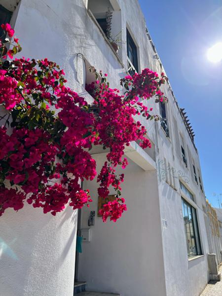 Sunny Portugal should be at the TOP of your Bucket List!