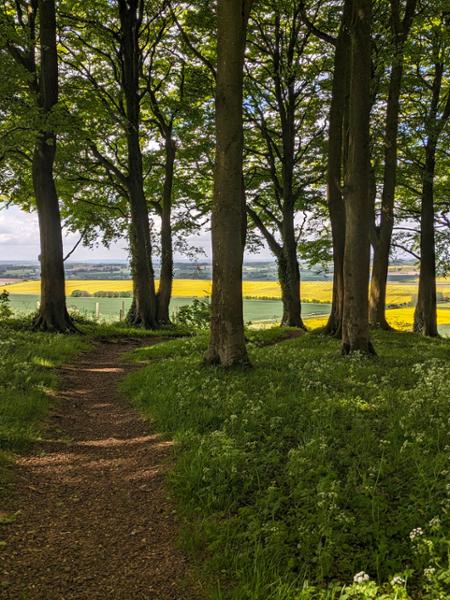 From Avebury to Goring