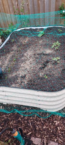2 x Compost Bulk Bags £67.50 each - Multi-purpose & Peat Free 2 x 500L