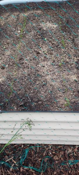 2 x Compost Bulk Bags £67.50 each - Multi-purpose & Peat Free 2 x 500L