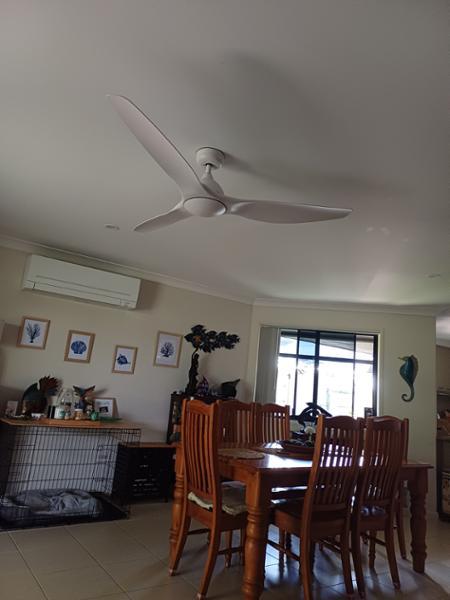 Fast shipping, quality fans