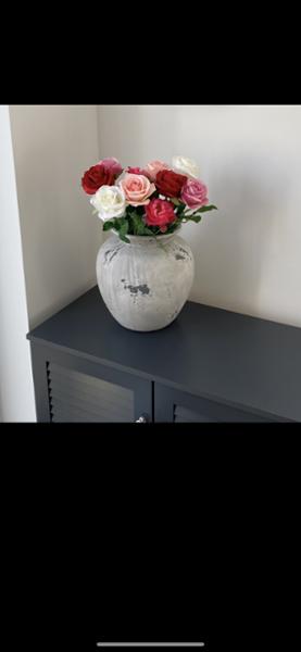 Beautiful Flowers