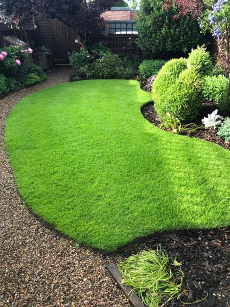 Grass seed purchase