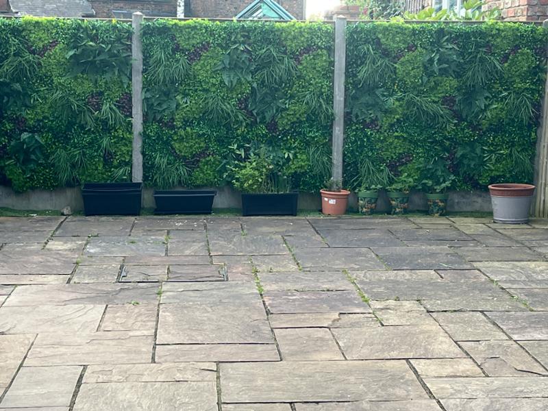 Amazing green wall