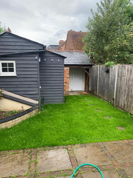 Brilliant lawn on a few inches of mud in 8 weeks