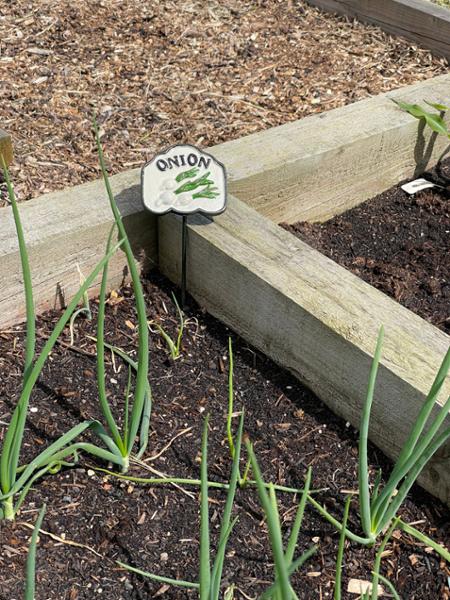 Vegetable patch plaques