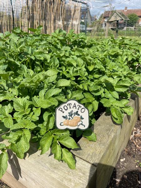Vegetable patch plaques