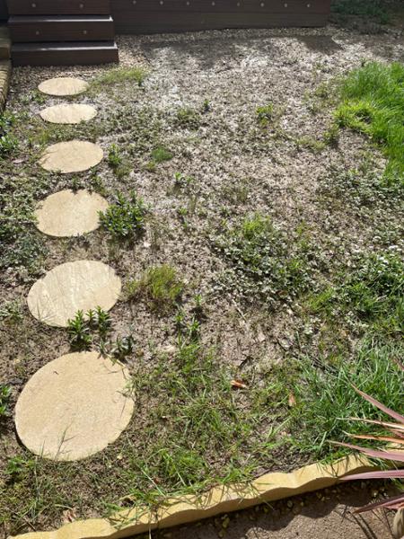 Fixing a waterlogged clay soil lawn