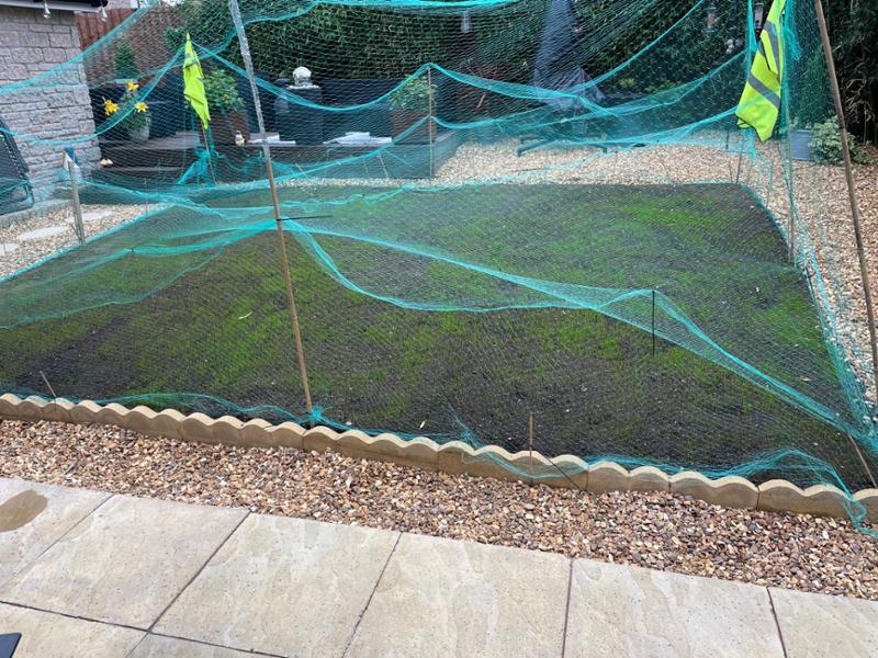Fixing a waterlogged clay soil lawn